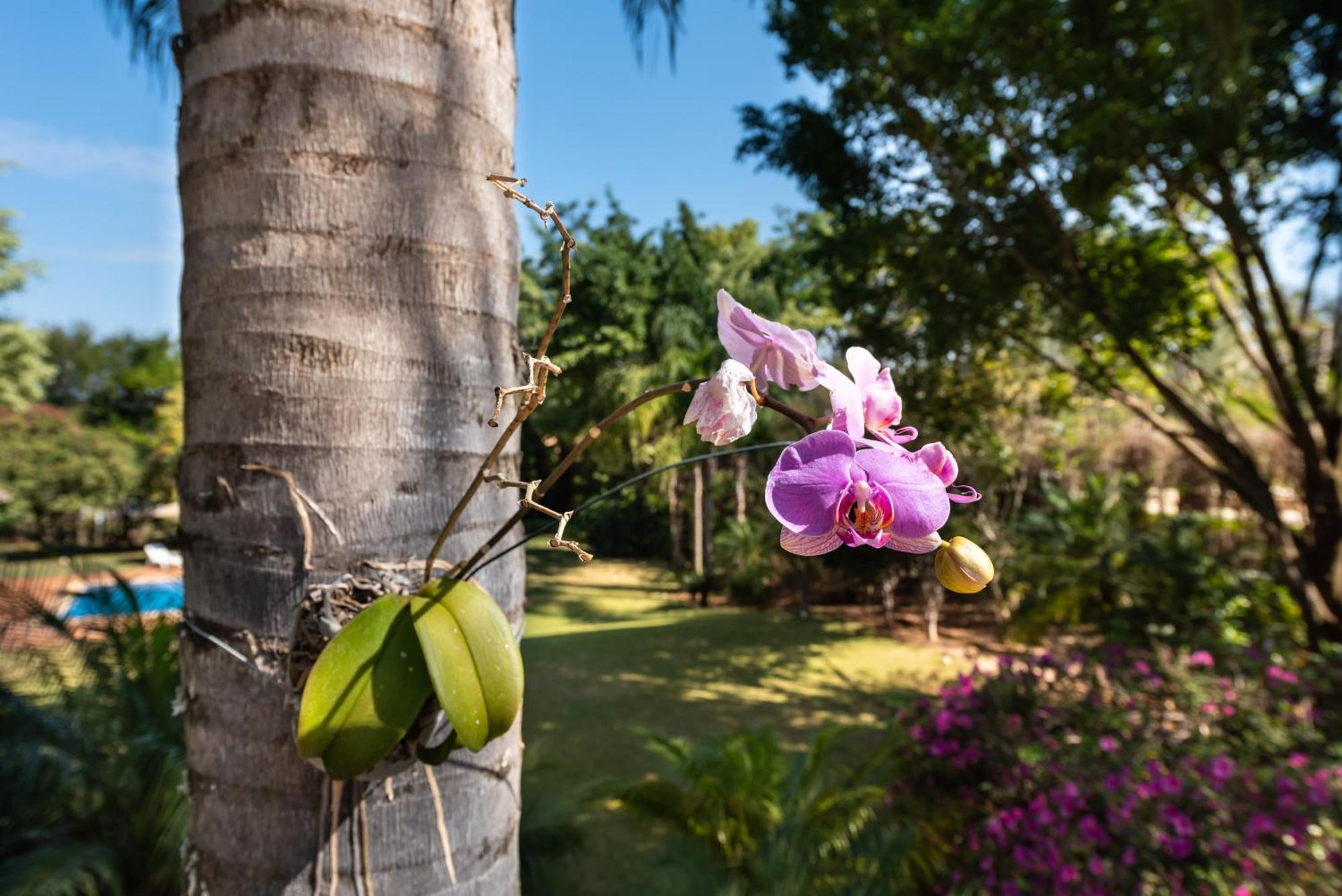 Fazenda Vila Real - Grande E Charmosa Casa De Campo Иту Экстерьер фото