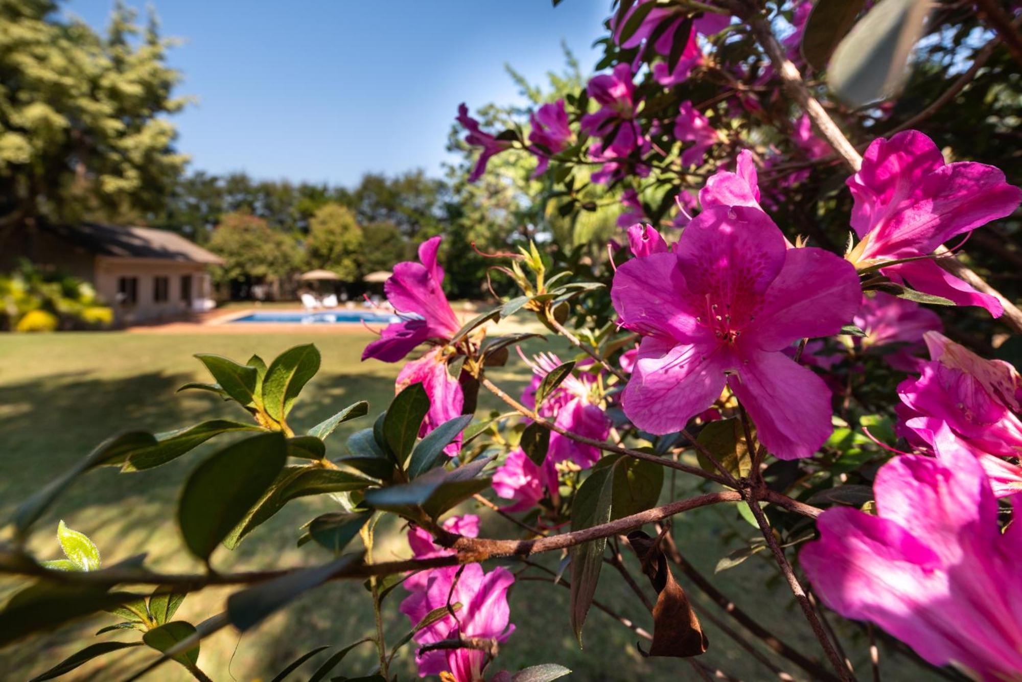 Fazenda Vila Real - Grande E Charmosa Casa De Campo Иту Экстерьер фото